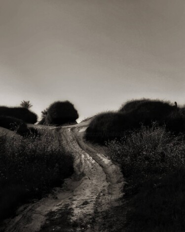 Фотография под названием "the path not taken" - Ravid Wolff, Подлинное произведение искусства, Цифровая фотография