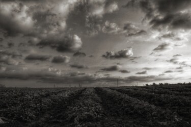 Photographie intitulée "Before the tempest" par Ravid Wolff, Œuvre d'art originale, Photographie numérique