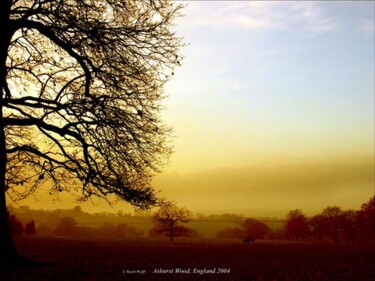 Fotografie mit dem Titel "England" von Ravid Wolff, Original-Kunstwerk