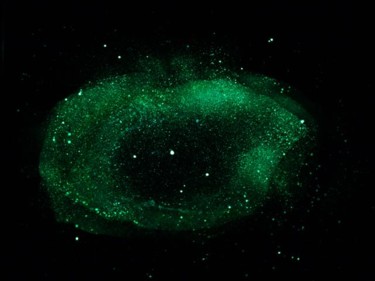 Картина под названием "Helix Nebulae (glow…" - Raymundo Garza, Подлинное произведение искусства, Масло