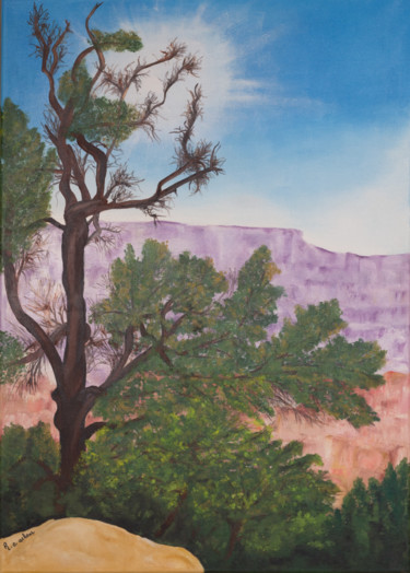 Peinture intitulée "Grand Canyon 1" par Renée C. Achour, Œuvre d'art originale