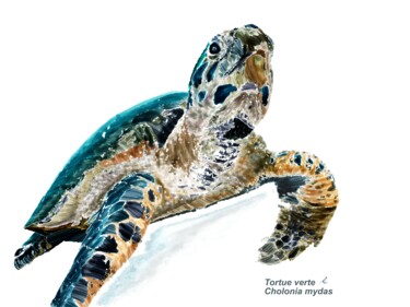 Arts numériques intitulée "Tortue verte Cholon…" par Rc Digipainter436, Œuvre d'art originale, Peinture numérique