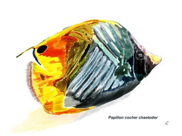 Digitale Kunst getiteld "Papillon Cocher Cha…" door Rc Digipainter436, Origineel Kunstwerk, Digitaal Schilderwerk