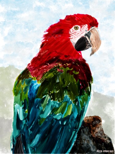 Digital Arts titled "Ara macao" by Rc Digipainter436, Original Artwork, Digital Painting