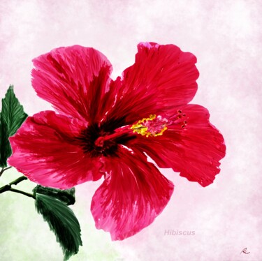 Arts numériques intitulée "Hibiscus" par Rc Digipainter436, Œuvre d'art originale, Peinture numérique