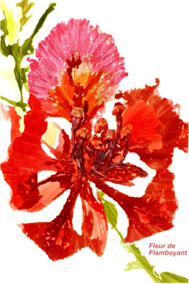 Arts numériques intitulée "Fleur de Flamboyant" par Rc Digipainter436, Œuvre d'art originale, Peinture numérique