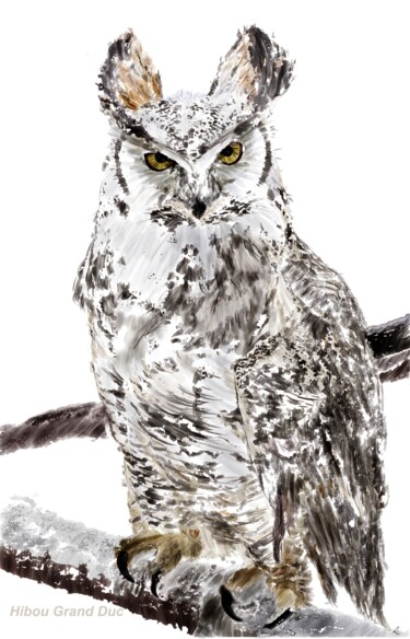 Arte digital titulada "Hibou Grand Duc" por Rc Digipainter436, Obra de arte original, Pintura Digital