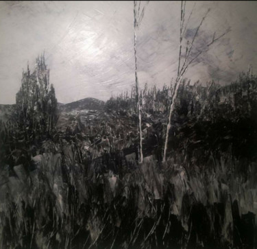 Painting titled "Paysage Noir et bla…" by Reemers Jean-Pierre, Original Artwork, Other