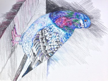Картина под названием "Blue pigeon" - Regina M, Подлинное произведение искусства, Другой