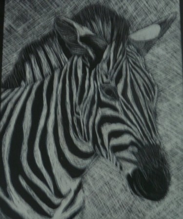 Gravures & estampes intitulée "zebre" par Régine Ledanois, Œuvre d'art originale, Autre