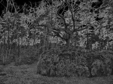 Photographie intitulée "Fontainebleau modif…" par Régine Ledanois, Œuvre d'art originale