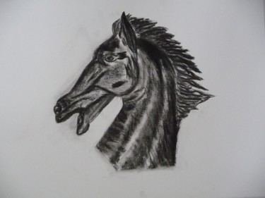 Dessin intitulée "tête de cheval" par Régine Ledanois, Œuvre d'art originale, Autre