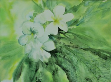 Peinture intitulée "Fleurs de frangipan…" par Navema, Œuvre d'art originale, Aquarelle