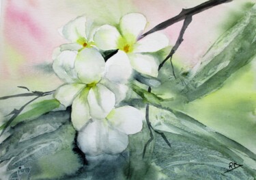 Peinture intitulée "Fleurs de frangipan…" par Navema, Œuvre d'art originale, Aquarelle