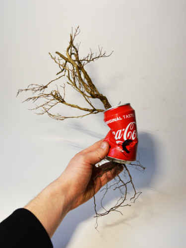 Sculpture titled "" Quand la nature r…" by Régis Gomez., Original Artwork, Wire Mounted on Metal