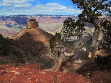Photography titled "Down South Kaibab" by Reid, The Artistic Lensman, Original Artwork, Manipulated Photography