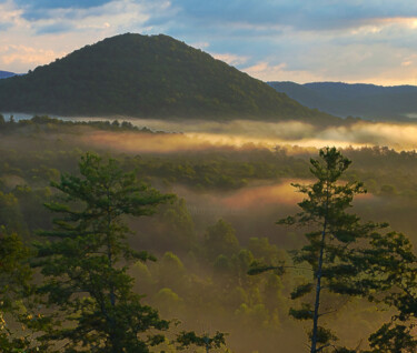 摄影 标题为“Smoky Mountain Foot…” 由Reid, The Artistic Lensman, 原创艺术品, 操纵摄影