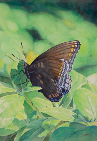 Pintura intitulada "Butterfly" por Reidsart, Obras de arte originais, Aquarela