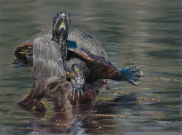 Pintura titulada "Sunnin' Turtle" por Reidsart, Obra de arte original, Pastel