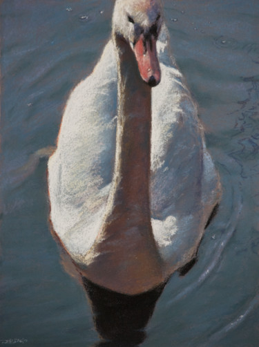 Schilderij getiteld "Swan" door Reidsart, Origineel Kunstwerk, Pastel