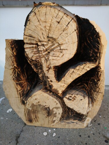 Sculptuur getiteld "Embryo" door Reiner Poser, Origineel Kunstwerk, Hout