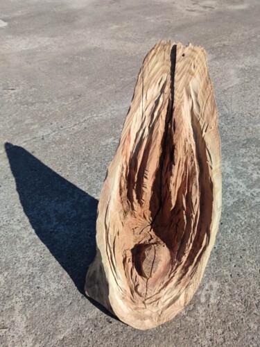 Скульптура под названием "The Thing, which mo…" - Reiner Poser, Подлинное произведение искусства, Дерево