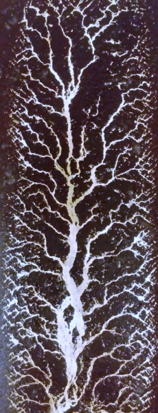 Photographie intitulée "surreal tree of soo" par Rembert Räni, Œuvre d'art originale, Photographie numérique