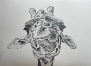 Tekening getiteld "Girafe" door Rémi Capobianco, Origineel Kunstwerk, Grafiet