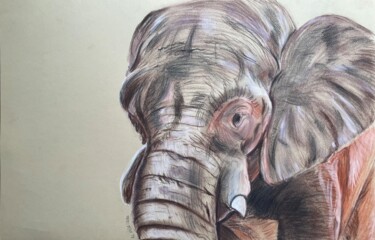 Dessin intitulée "Elephanteau" par Rémi Capobianco, Œuvre d'art originale, Fusain