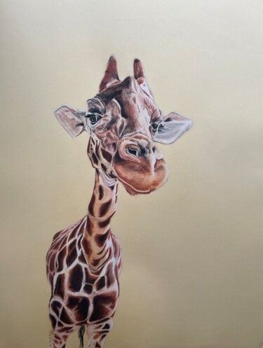 Rysunek zatytułowany „Girafe 2” autorstwa Rémi Capobianco, Oryginalna praca, Conté