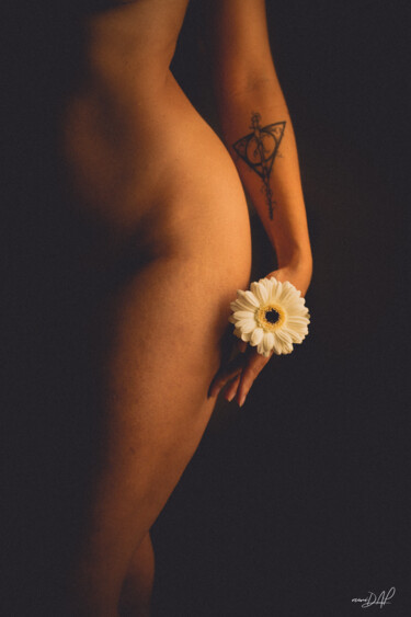 Photographie intitulée "Eve's Flowers Mélan…" par Rémi Dap, Œuvre d'art originale, Photographie numérique