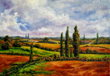 Pintura titulada "La Mancha" por Remigio Megías García, Obra de arte original, Oleo
