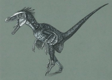 Zeichnungen mit dem Titel "Velociraptor" von Remigius Sebastian Sappa, Original-Kunstwerk, Conté-Buntstifte