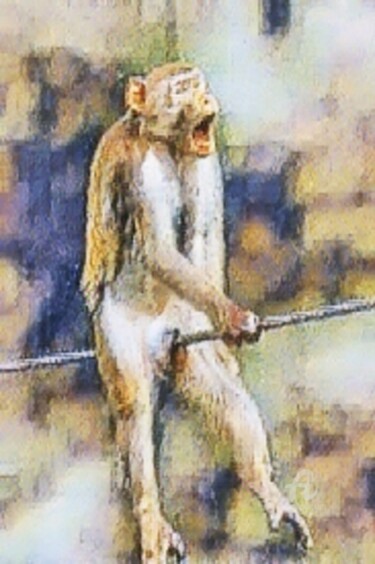 Digital Arts titled "fun ape" by Remond Reichwein, Original Artwork, Digital Painting