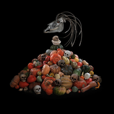 Vanité au cheval de fer Digitale Künste mit dem Titel "Vanité au cheval de…" von Rémy Le Guillerm, Original-Kunstwerk, 2D Digital Work Auf Aluminium…