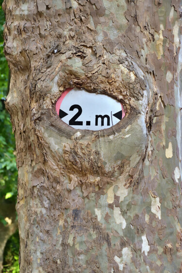 Photographie intitulée "L'ARBRE QUI AIME LE…" par Rémy Vallée, Œuvre d'art originale, Photographie numérique