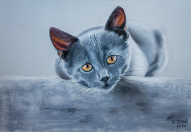 Drawing titled "Graue Katze" by Renate Dohr, Original Artwork, Pastel