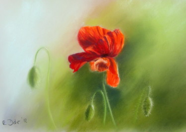 Dessin intitulée "Mohnblume" par Renate Dohr, Œuvre d'art originale, Pastel