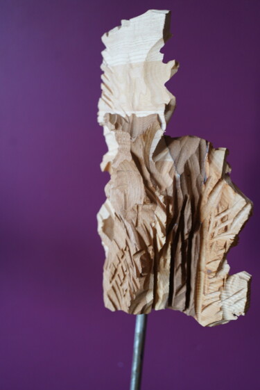 Sculpture intitulée "gRapillo 4" par Renaud De Rugy, Œuvre d'art originale, Bois