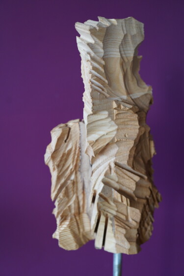 Sculpture intitulée "HIGphar 2" par Renaud De Rugy, Œuvre d'art originale, Bois