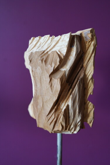 Sculpture titled "hJerguy 5" by Renaud De Rugy, Original Artwork, Wood