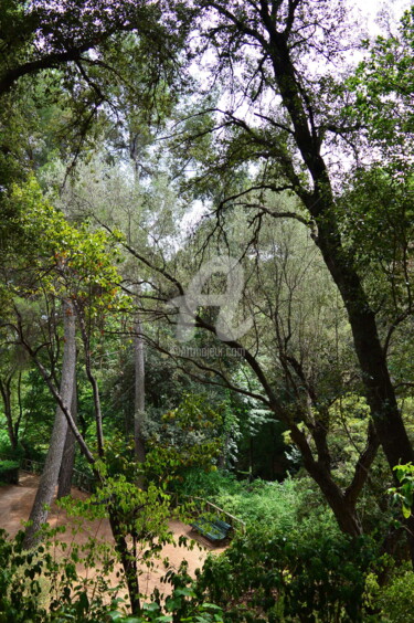 Photographie intitulée "Parc del Laberint d…" par Renaud Klumpp, Œuvre d'art originale, Photographie numérique