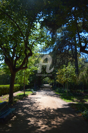 Photographie intitulée "Parc de Pedralbes 3" par Renaud Klumpp, Œuvre d'art originale, Photographie numérique