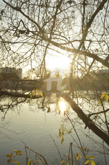 Photography titled "Lumière solaire en…" by Renaud Klumpp, Original Artwork, Digital Photography