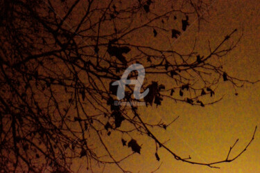 Photographie intitulée "Lumière nocturne" par Renaud Klumpp, Œuvre d'art originale, Photographie numérique