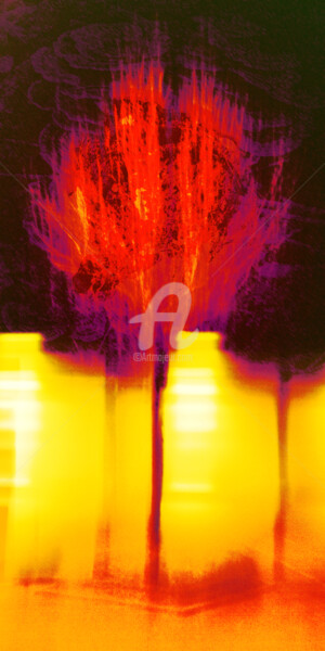 Arte digital titulada "Végétal 4" por Renaud Klumpp, Obra de arte original, Foto-montaje