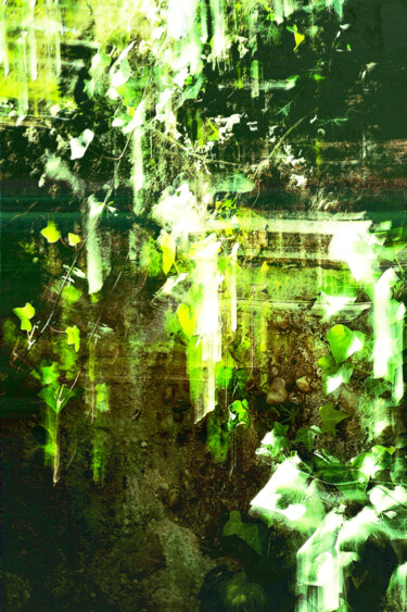 Végétal 8 Photographie intitulée "Végétal 8" par Renaud Klumpp, Œuvre d'art originale, Photographie numérique