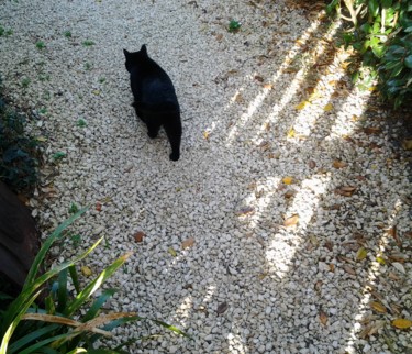 Le chat qui a mangé un poisson d'avril Arts numériques intitulée "Le chat qui a mangé…" par Jean Louis Renaudin, Œuvre d'art originale