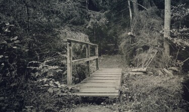 Fotografía titulada "Brücke im Wald" por René Basse, Obra de arte original, Fotografía digital