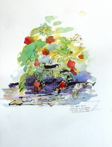 Drawing titled "Rosier sauvage à l'…" by René Blanchet, Original Artwork, Ink